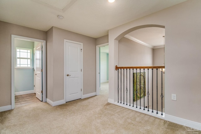 interior space with light carpet and ornamental molding