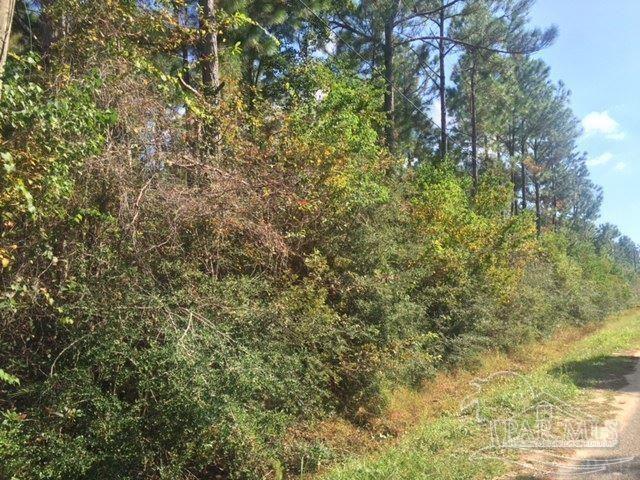 968 Clearview St, Milton, FL 32583