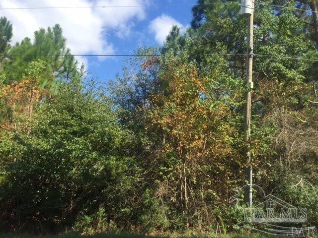 968 Clearview St, Milton, FL 32583