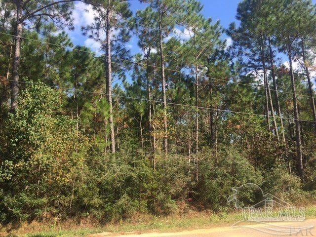 968 Clearview St, Milton, FL 32583