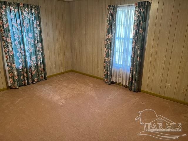 carpeted spare room with a healthy amount of sunlight and wood walls