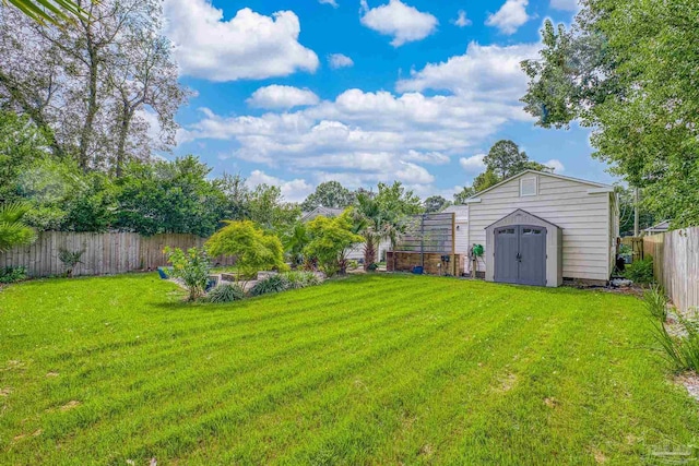 view of yard featuring a storage shed