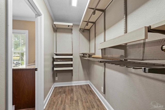 walk in closet with dark hardwood / wood-style floors