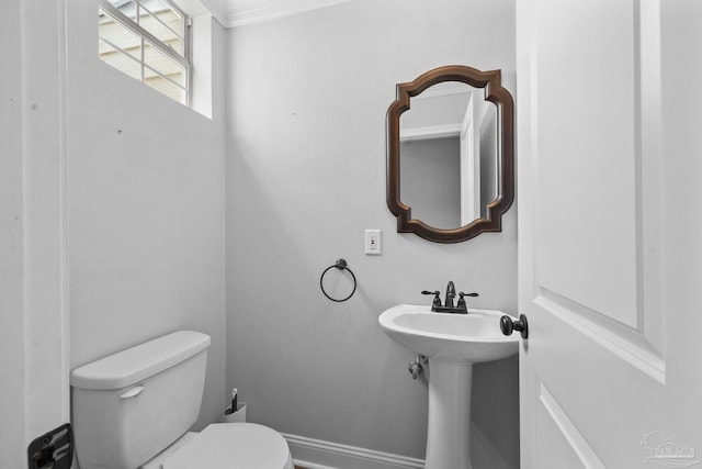 bathroom featuring crown molding and toilet