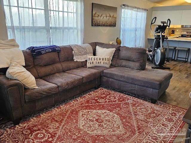 living room with hardwood / wood-style flooring