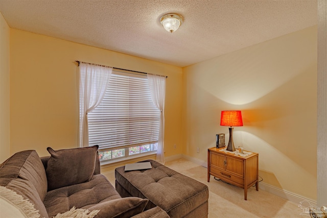 living room with a textured ceiling and light colored carpet