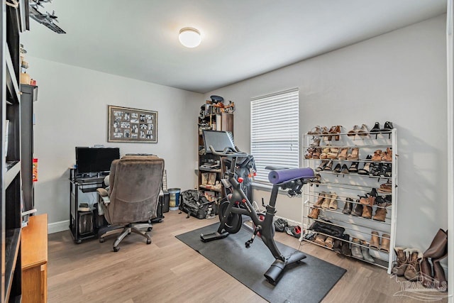 workout area featuring hardwood / wood-style flooring