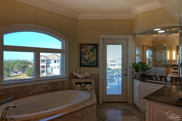 bathroom with ornamental molding, a wealth of natural light, vanity, and a shower stall