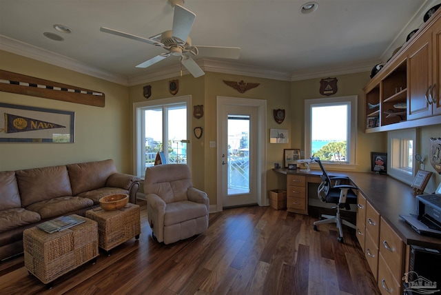 office space featuring dark wood-style floors, ornamental molding, and a ceiling fan