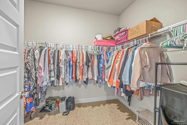 walk in closet featuring carpet flooring