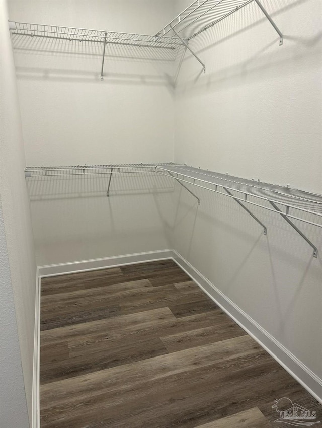 1020 W Lloyd St, Pensacola, FL 32501 - walk in closet featuring dark wood-style flooring