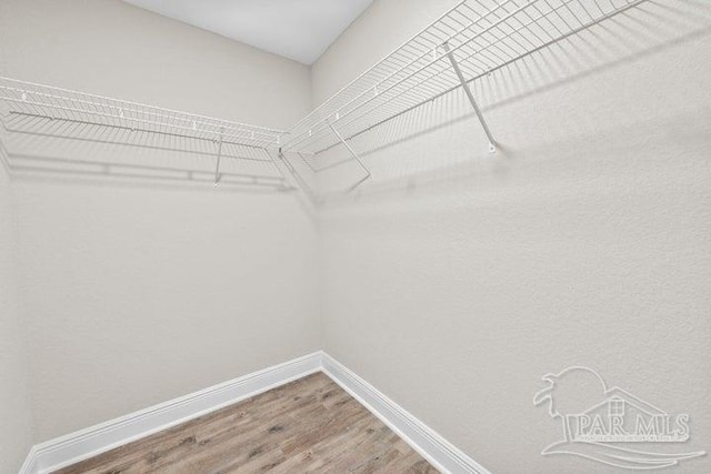 walk in closet featuring hardwood / wood-style floors