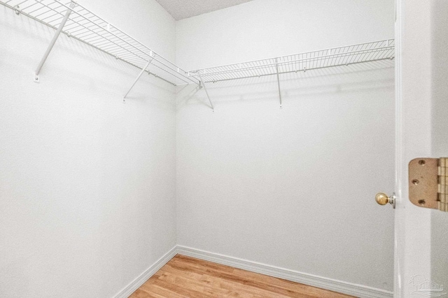 6240 Tributary St, Pensacola, FL 32526 - walk in closet featuring hardwood / wood-style floors