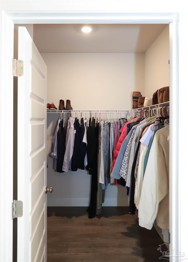 spacious closet with dark wood-type flooring