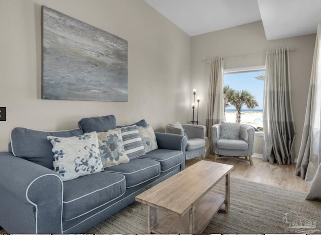 living room featuring hardwood / wood-style floors