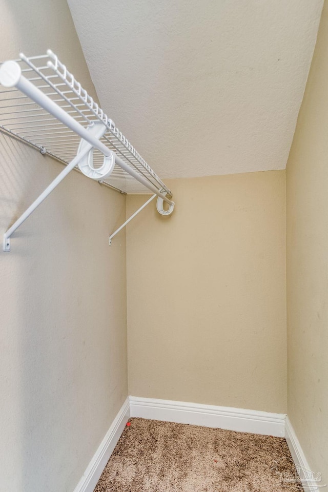 spacious closet featuring carpet flooring and vaulted ceiling