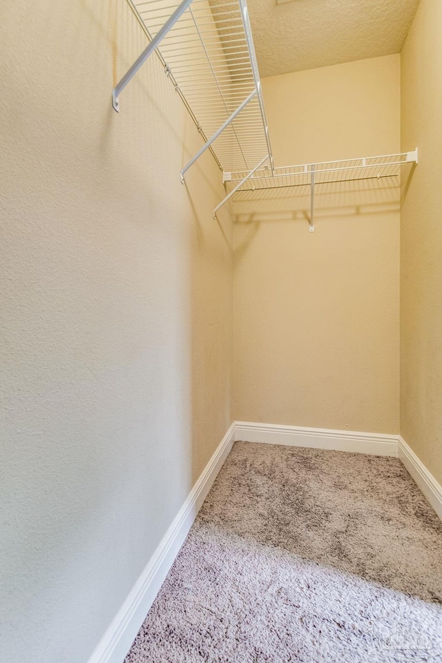 walk in closet with carpet floors