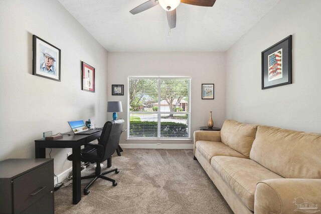 1328 Tour Dr, Gulf Breeze, FL 32563 - office space featuring carpet and a ceiling fan