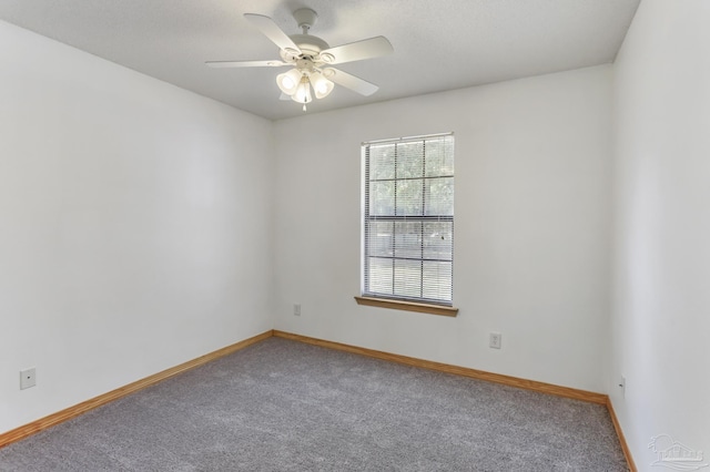 unfurnished room with ceiling fan and carpet floors