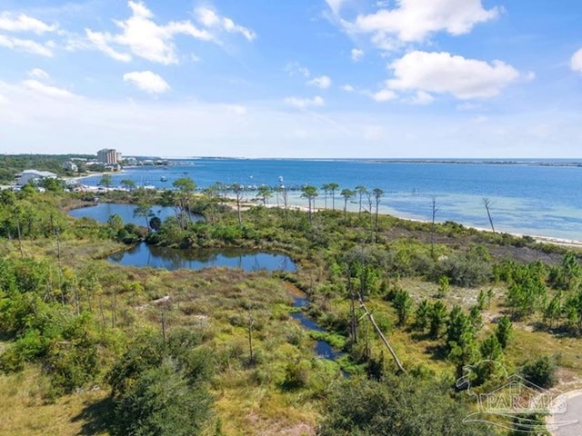 aerial view with a water view