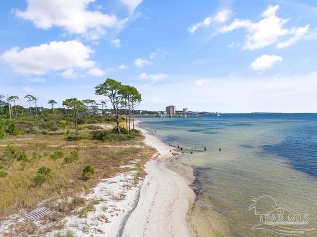 view of water feature featuring a beach view