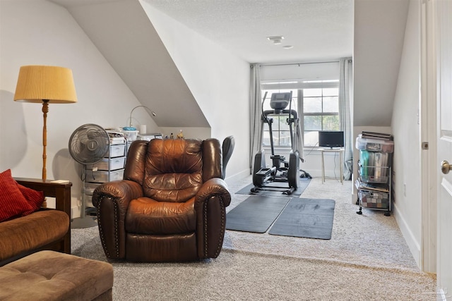 carpeted living room featuring a textured ceiling