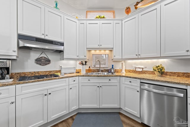 217 W Jackson St Unit 12, Pensacola, FL 32501 - kitchen with stone counters, white cabinets, under cabinet range hood, stainless steel appliances, and a sink