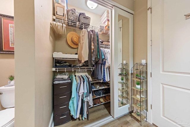 217 W Jackson St Unit 12, Pensacola, FL 32501 - walk in closet featuring wood finished floors