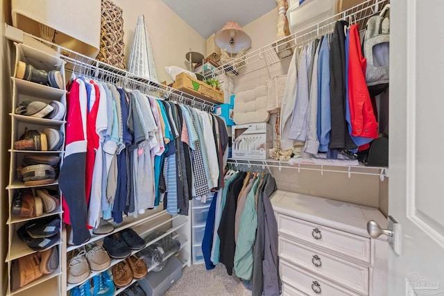 217 W Jackson St Unit 12, Pensacola, FL 32501 - walk in closet with carpet flooring