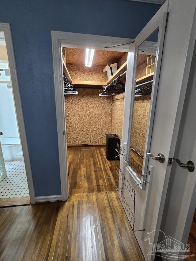 walk in closet featuring dark wood-type flooring