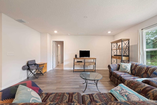 living room featuring hardwood / wood-style floors and a textured ceiling