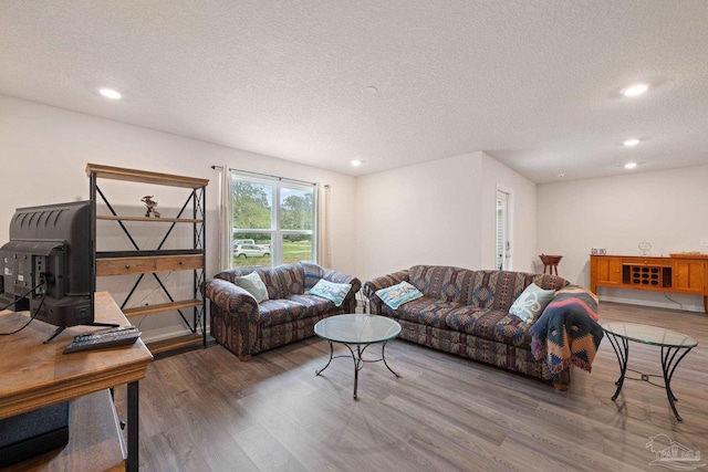 living room featuring wood-type flooring and a textured ceiling