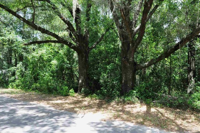 Limit St, Bagdad FL, 32530 land for sale