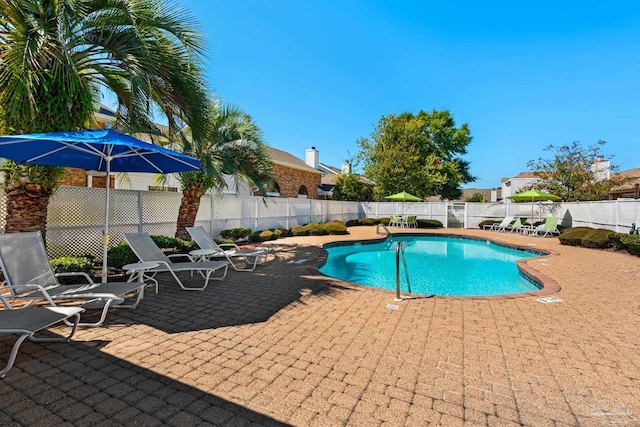 view of pool with a patio