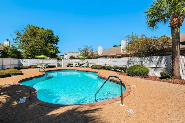 view of pool featuring a patio area