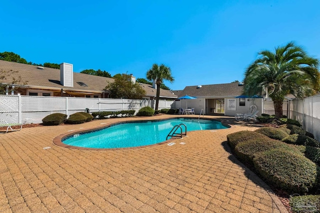 view of pool with a patio