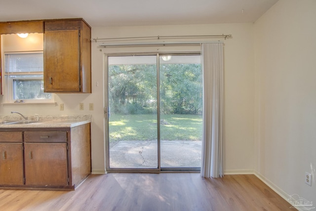 entryway with sink and light hardwood / wood-style floors