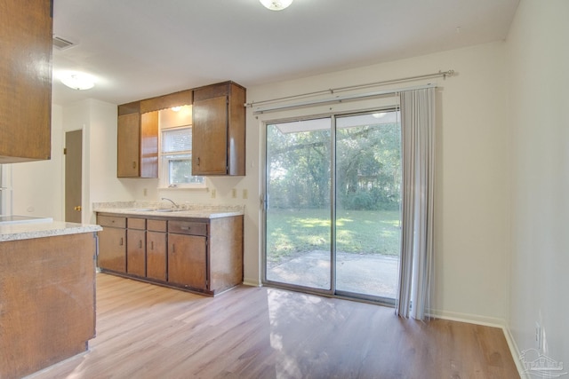 kitchen featuring light hardwood / wood-style flooring and sink