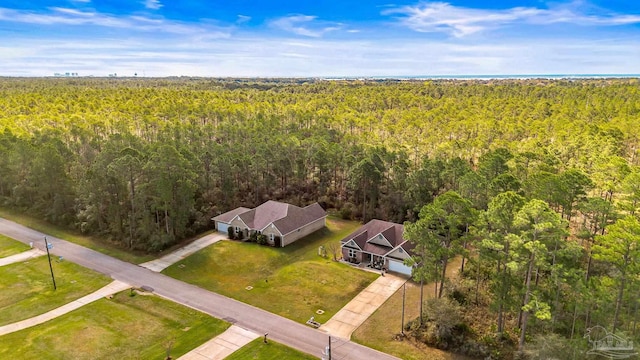 bird's eye view of a forest