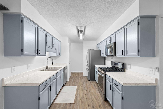 kitchen featuring gray cabinets, sink, appliances with stainless steel finishes, and light hardwood / wood-style flooring