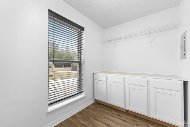 walk in closet with electric panel and dark hardwood / wood-style flooring