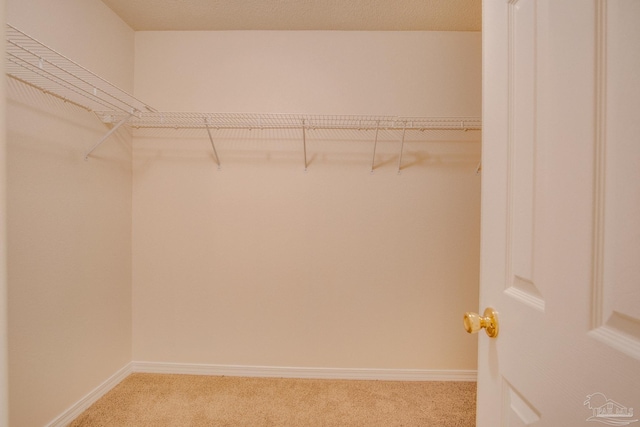 walk in closet featuring light carpet