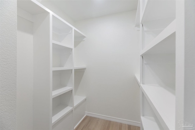 spacious closet featuring light hardwood / wood-style floors