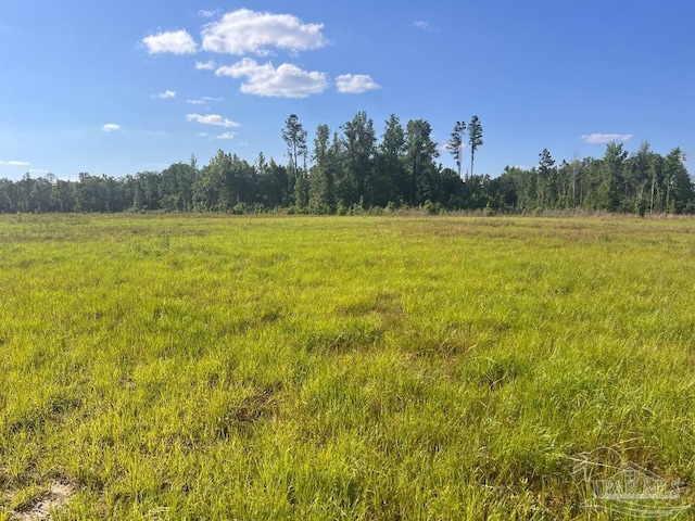 Listing photo 2 for LOT17-C Cotton Lake Rd, Molino FL 32577