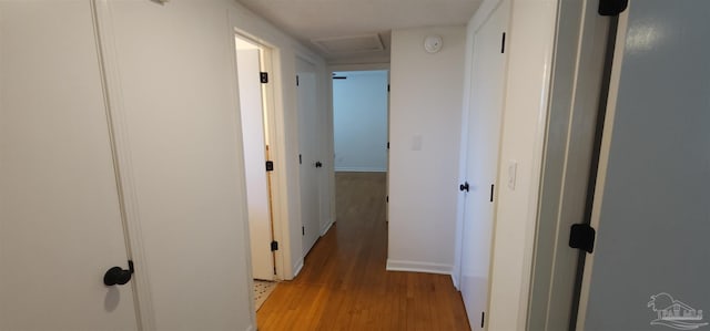 hallway featuring light hardwood / wood-style floors