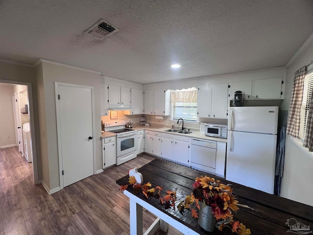 kitchen with a textured ceiling, white appliances, sink, white cabinets, and dark hardwood / wood-style floors