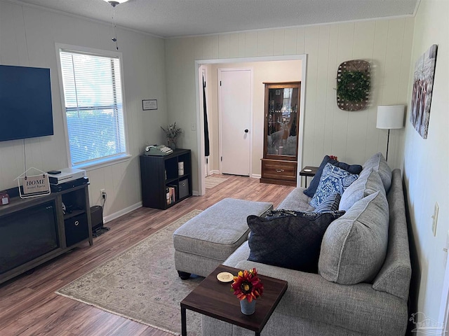 living room with hardwood / wood-style floors, ornamental molding, and a textured ceiling