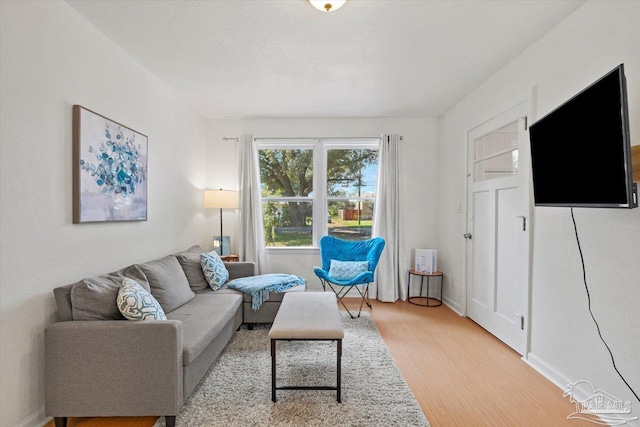 living area featuring baseboards and light wood finished floors