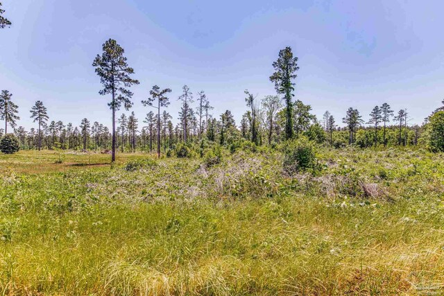 0 Allen Rd, Atmore, AL 36502