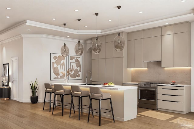 kitchen featuring a breakfast bar area, light wood-style flooring, a sink, stainless steel gas range, and a raised ceiling